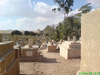 Above Water Table Graves with large trees (Water) in the local proximity.(Click here to view enlarged Photo)