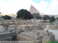 Trees as tall as the Sphinx in close proximity of the Pyramid and Sphinx demonstrate high water table in area, and long standing water.  These trees a